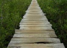 Cabina Las Olas  - Fly & Drive