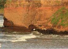 Los Mangos Hotel - Surf Point