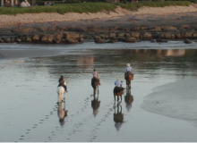 Rancho Santana - Horseback Riding