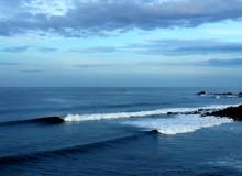 Bungalows Las Flores