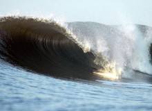 Bungalows Las Flores