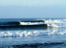 Bungalows Las Flores