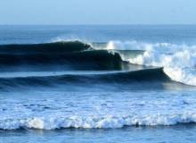 Bungalows Las Flores