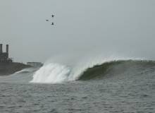 Miramar Surfcamp All Inclusive