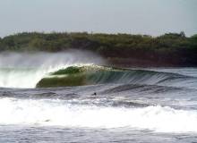 Thunder Bombs Surf Camp