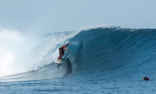 Indonésia - Hollow Tree's Resort - 2022