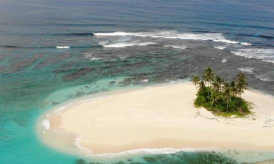 Hollow Tree´s Resort