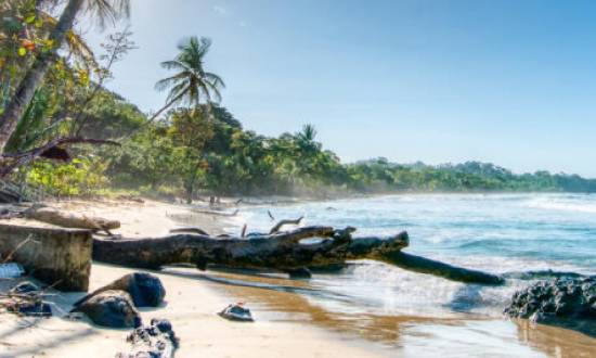 Hotel Bocas Del Toro