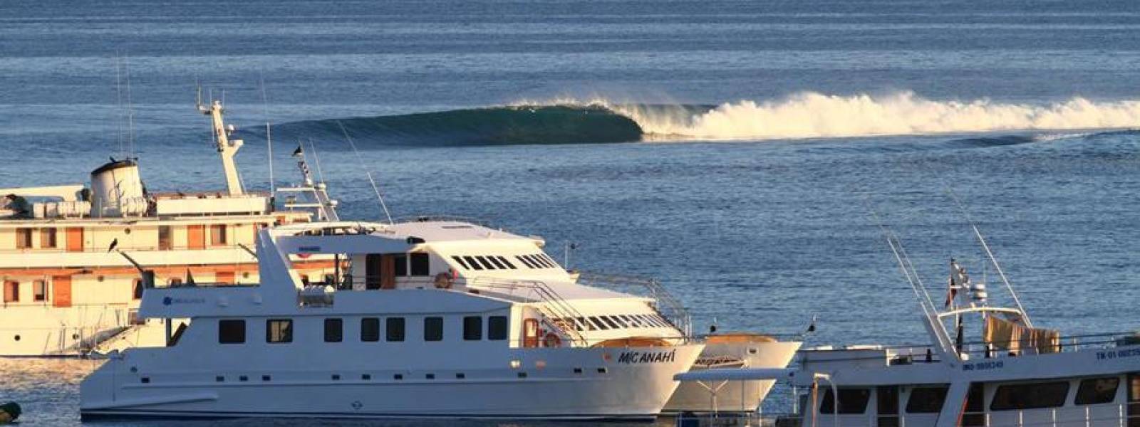 Hostal Tongo Reef - Galápagos