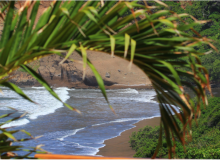 Los Mangos Hotel - Beach